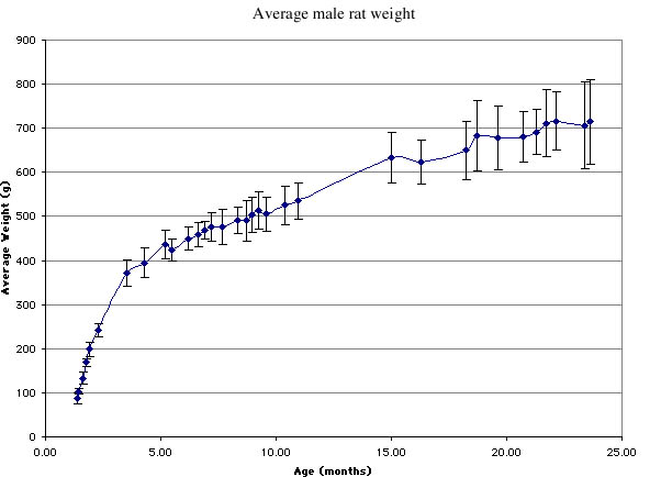 Rat Age Chart