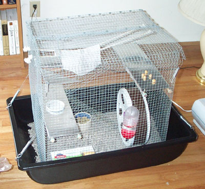 building a rat cage