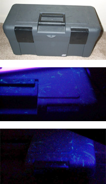 black light for mouse urine detection